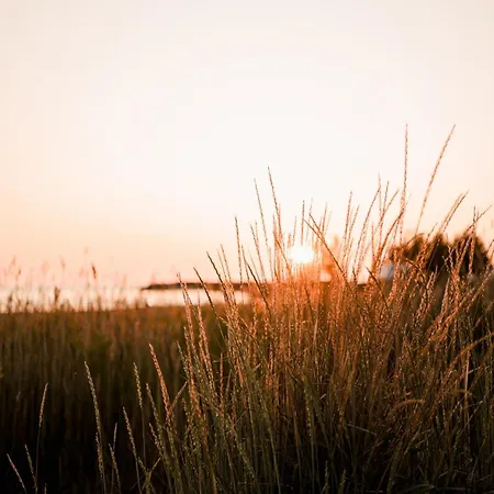 & Golf Marinan Kapteeni A 17 - Sisaeltaeae Loppusiivouksen