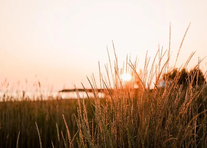 & Golf Marinan Kapteeni A 17 - Sisaeltaeae Loppusiivouksen